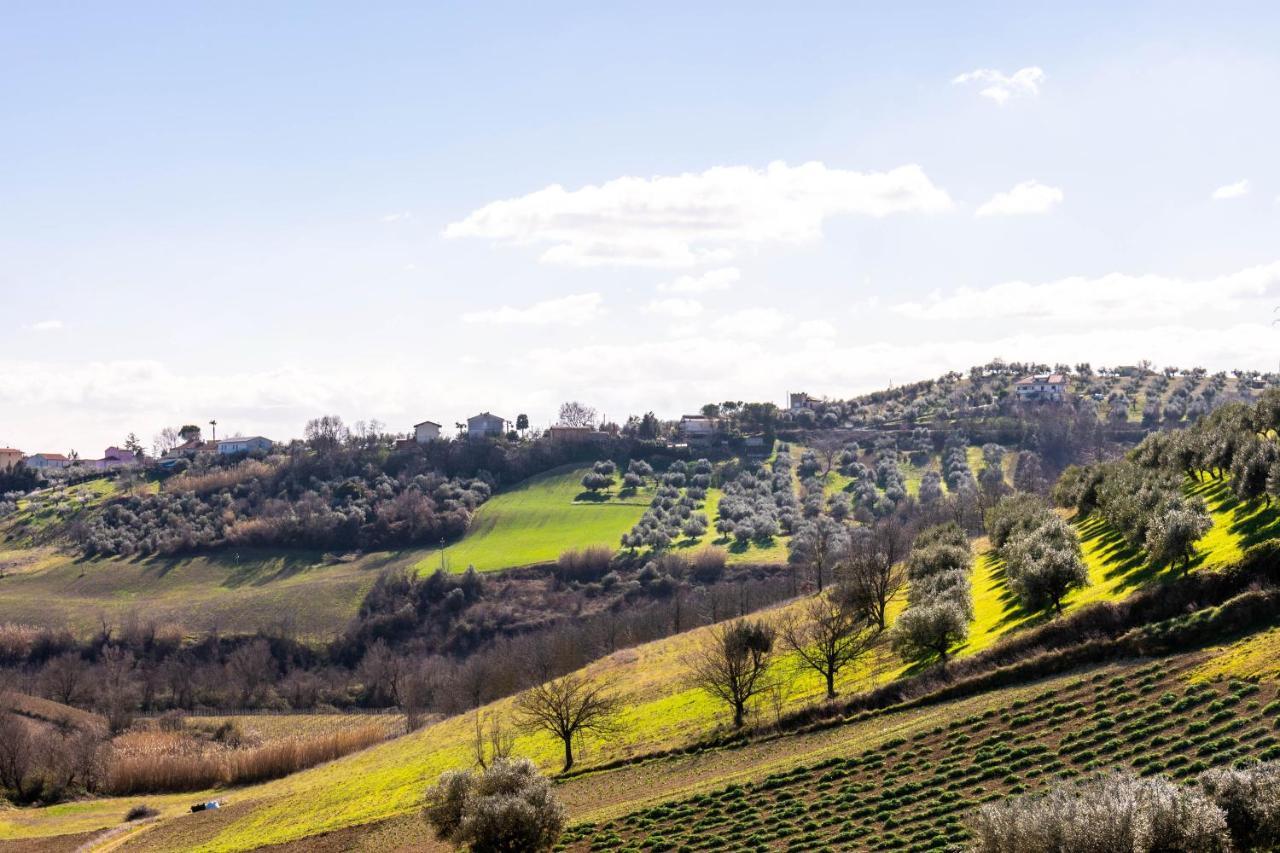 La Casa Del Nonno Bed & Breakfast Spoltore Dış mekan fotoğraf
