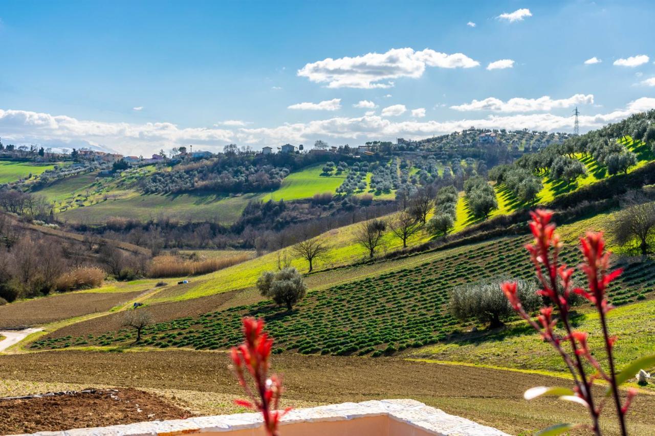 La Casa Del Nonno Bed & Breakfast Spoltore Dış mekan fotoğraf