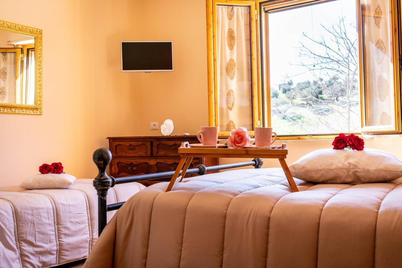 La Casa Del Nonno Bed & Breakfast Spoltore Dış mekan fotoğraf