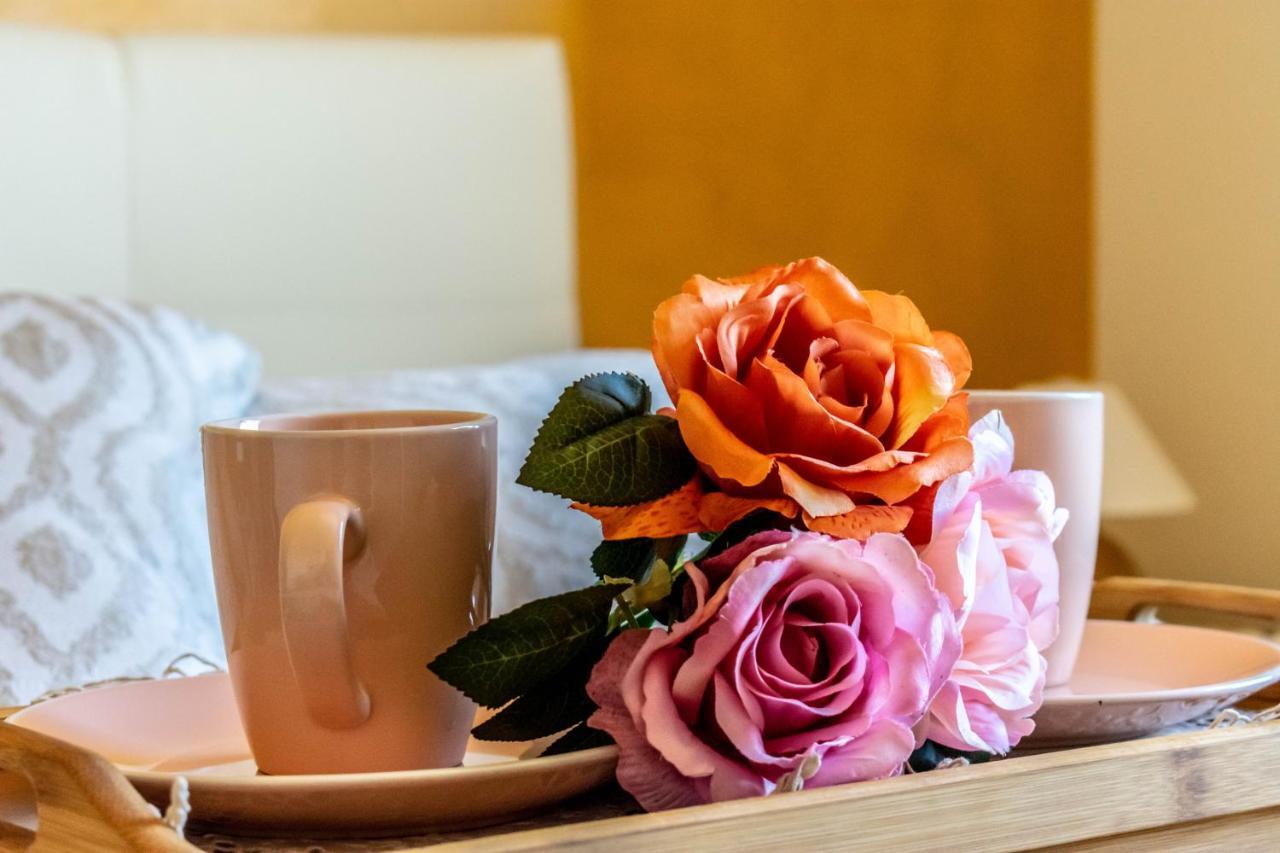 La Casa Del Nonno Bed & Breakfast Spoltore Dış mekan fotoğraf