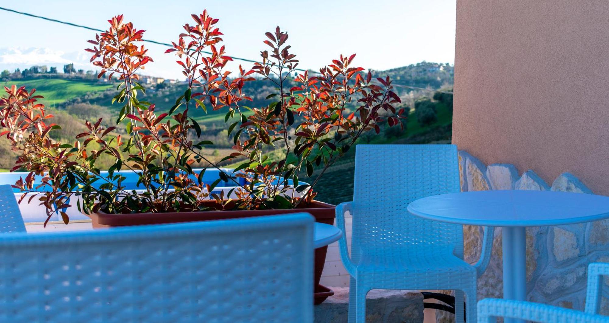 La Casa Del Nonno Bed & Breakfast Spoltore Dış mekan fotoğraf
